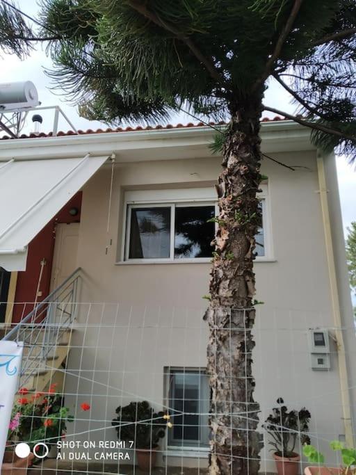 Grecos Apartment Preveza Eksteriør billede
